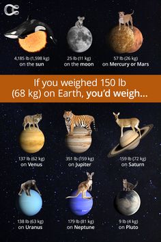 the planets and their size in comparison to each other, with text describing them on it