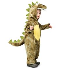 a little boy in a dinosaur costume