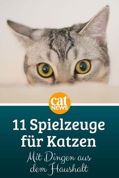 a cat peeking over the top of a bed with caption that reads, 1 spielzeuge fur katzen mit dingen aus dem haushatzt