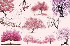 four different types of trees with pink leaves