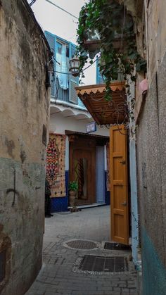 an alley way with buildings and plants growing on it