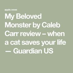 the text reads, my beloved monster by caleb car review when a cat saves your life