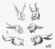 some drawings of rabbits with their mouths open