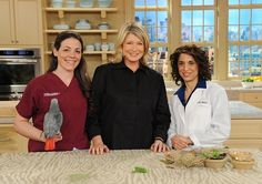 three women standing next to each other in a kitchen with a bird on the counter