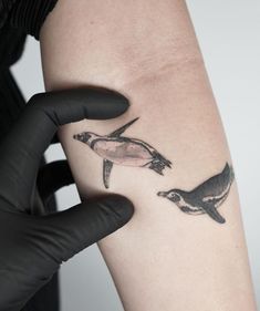 a person with a tattoo on their arm holding a black glove and looking at a penguin