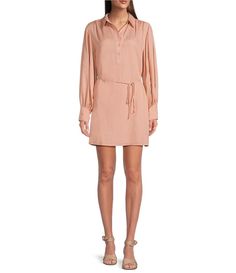 Alex Marie Liberty Long Sleeve Draped Shift Dress | Dillard's Collared Mini Dress For Spring Workwear, Spring Collared Mini Dress For Work, Chic Fitted Rayon Shirt Dress, Elegant Collared Rayon Dress, Spring Mini Dress With Placket, Fall Rayon Shirt Dress For Daywear, Rayon Shirt Dress For Daywear In Fall, Spring Mini Dress With Collared Neckline, Chic Long Sleeve Rayon Shirt Dress