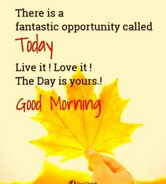 there is a fantastic opportunity called today live it love it the day is yours good morning