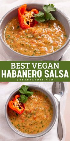 Bring the heat to your Super Bowl party food ideas and Game Day menu with this Best Vegan Habanero Salsa! Made with tomatoes, onions, habaneros, and peppers, this fiery dip is perfect for dipping your favorite chips or veggies. Bold, spicy, and plant-based — it’s a guaranteed crowd-pleaser for those who like it hot! Vegetarian Appetizer, Habanero Salsa, Mild Salsa