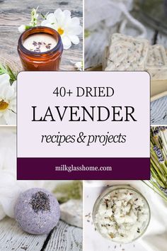 lavender recipes and projects with text overlay