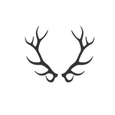 two antlers are shown in black and white