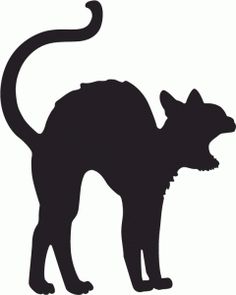 a black cat silhouetted against a white background