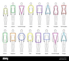 an image of different body shapes