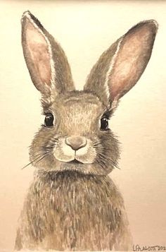 a drawing of a rabbit with big ears