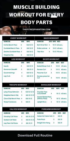 an image of a poster with the words muscle building workout for every body parts