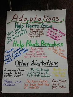 a poster with words written on it and captioning the different types of plants