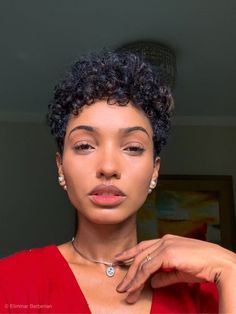 Curly Short Fro, Pixie Afro Hair, Afro Pixie Haircut, Short 3c Curly Hair Pixie Cuts, Curly Pixie Haircut Black Women Natural Hair Short Cuts, 3c Pixie Curly Hair, Afro Pixie Cut, Pixie Haircut For Curly Hair Natural, Short Curly Haircuts Natural Black Women