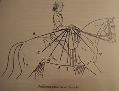 a drawing of a woman riding on the back of a horse with numbers written in spanish