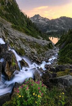 a river running through a lush green forest next to a rocky hillside with flowers growing on it