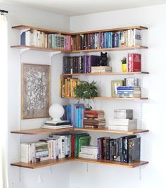 the bookshelves are filled with many different types of books and plants on them