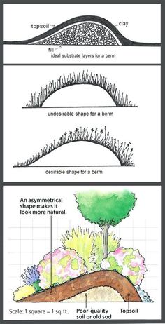 three different types of trees and shrubs