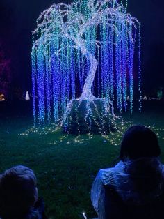 people are sitting in the grass looking at a lighted tree