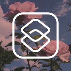 pink roses against a blue sky with white lines in the center and square logo above them