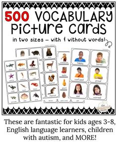 an image of pictures with words that say, 500 vocaular picure cords