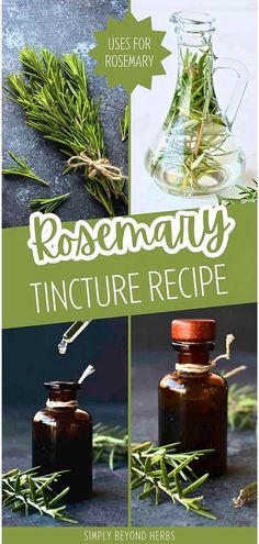 Explore our Rosemary Tincture Recipe in the Medicinal Uses for Rosemary category. Learn how to harness the benefits of rosemary, known for its ability to improve hair health and memory. This simple recipe packs the herb's potency into a small dropper bottle, perfect for everyday use. Find more natural remedies and rosemary uses at simplybeyondherbs.com. Rosemary Uses, Rosemary Tincture, Uses For Rosemary, Benefits Of Rosemary, Cold And Cough Remedies, Healthy Herbs, Herb Recipes