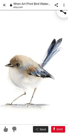 a watercolor painting of a bird sitting on top of a white surface with the words, when art print bird water