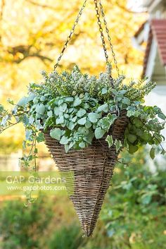 a hanging basket filled with plants in front of a house