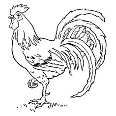 a black and white drawing of a rooster