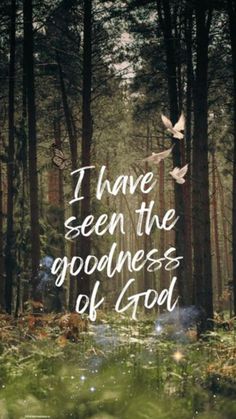 the words i have seen the goodness of god are shown in front of a forest