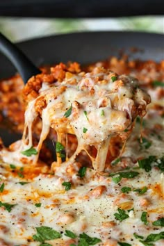 a spatula full of cheese being lifted from a skillet with lasagna sauce