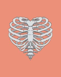 a skeleton in the shape of a heart