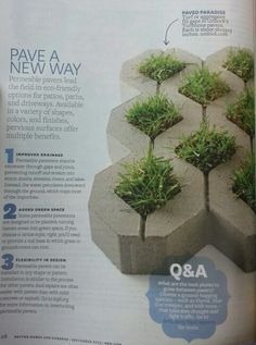 an article in a magazine about plants growing out of concrete blocks with the words pave a new way on it