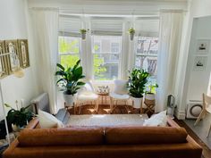 a living room filled with lots of furniture and plants on top of windowsills