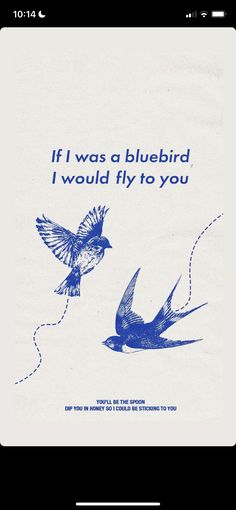 two blue birds flying next to each other on a white background with the words if i was a bluebird, i would fly to you