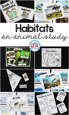 habitats an animal study with pictures and text