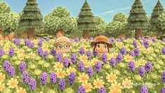 two people standing in the middle of a field of purple and yellow flowers with trees behind them