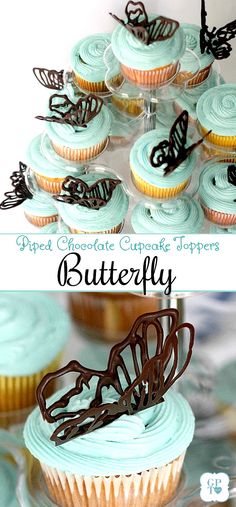 cupcakes with blue frosting and chocolate butterflies on top