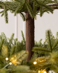 a close up of a christmas tree with lights