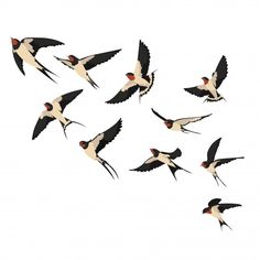 a flock of birds flying through the air