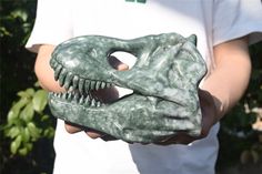 a close up of a person holding a fake dinosaur skull