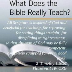 an open book with the words what does the bible really teach?