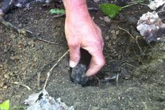 a man is digging in the dirt with his hand on top of a small rock