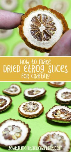 how to make dried etrog slices for crafting with the title above it