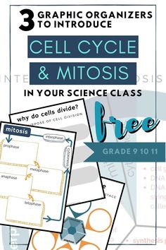 an image of cell cycle and mitosis in your science class with text overlay