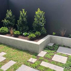 an outdoor garden with grass and stepping stones