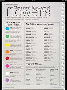 the secret language of flowers is shown in this book, which contains several different types of flowers