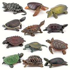 small turtle figurines in various colors and sizes on a white background with clippings